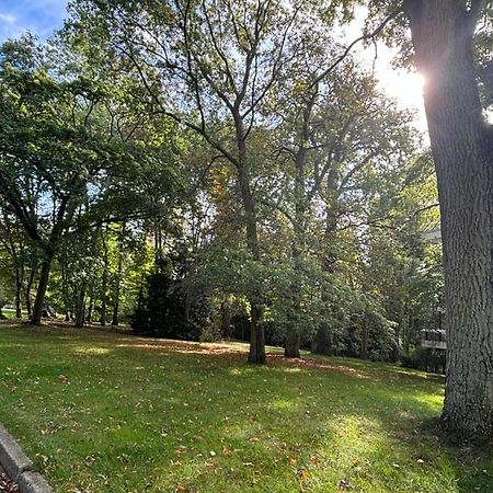 Ecrin De Verdure Au Chesnay Et Parking Gratuit Appartement Le Chesnay  Buitenkant foto